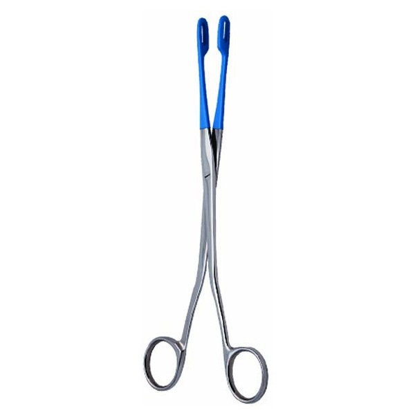 Champion Forceps