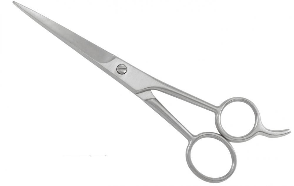 Professional Hair Cutting Shear