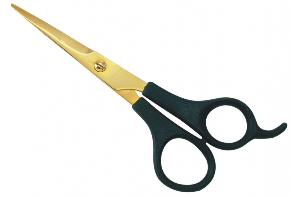 Plastic Handle Shear