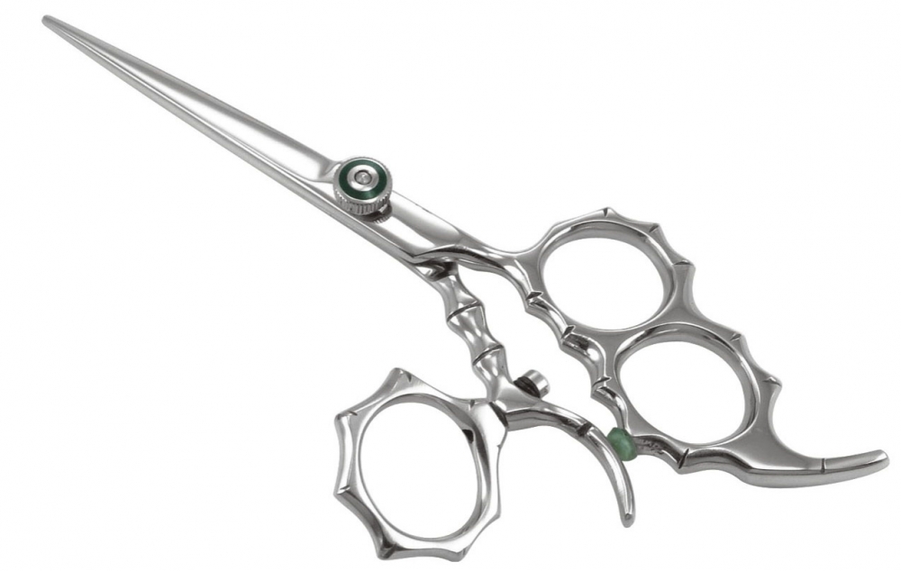 Professional Razor Shear